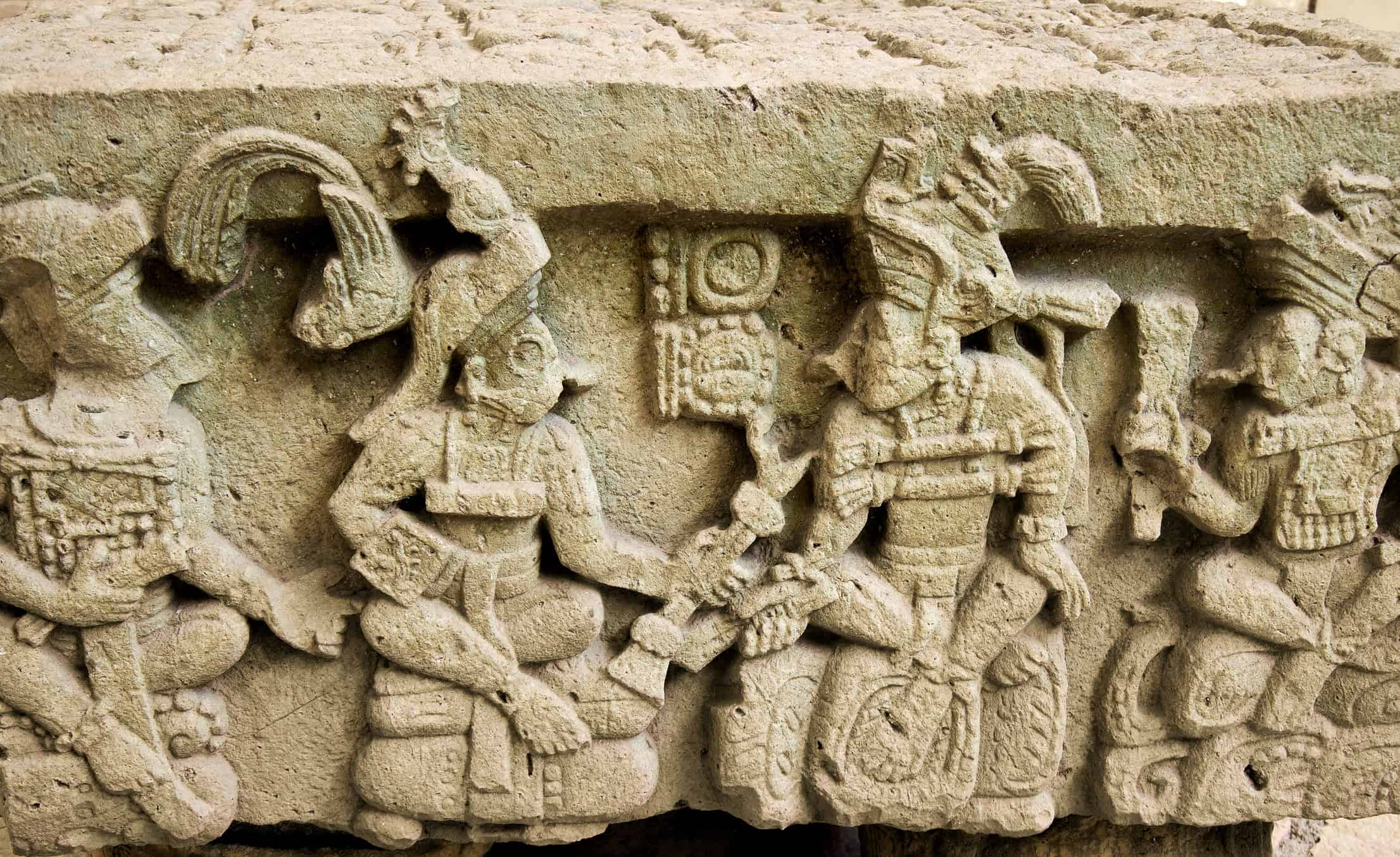 Alter-Q Copan