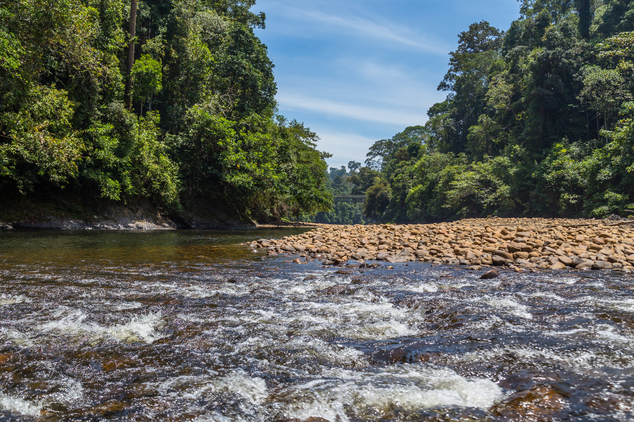 Hidden Gem Ulu Temburong National Park