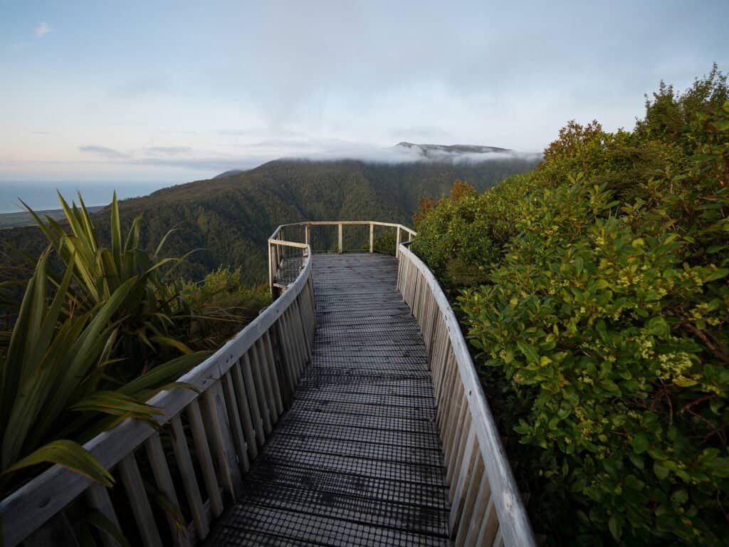 West Coast Treetop Walk