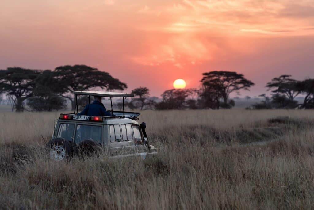 south african safari