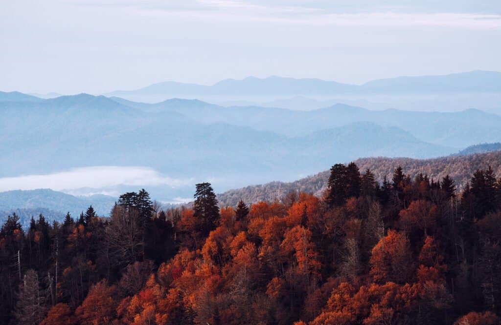 Great Smoky Mountains
