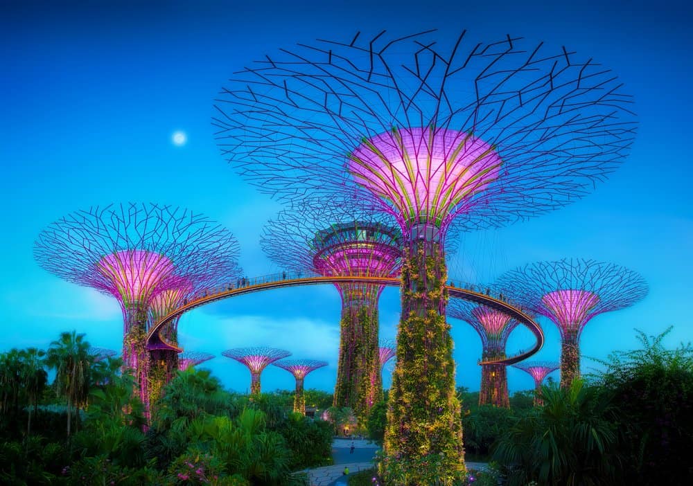 Gardens by the Bay, Singapore