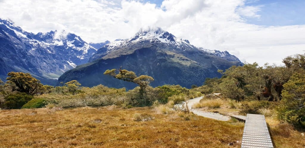 Key Summit, Routeburn Track, Milford National Park, New Zealand, South Island, NZ