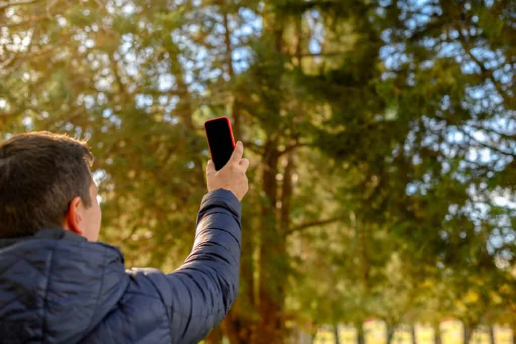 Cell service in new zealand great walks