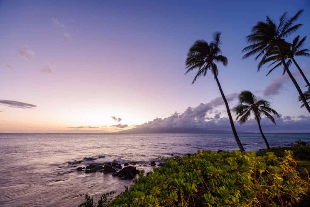 Stunning Hawaii ocean sunset with silhouettes of palm trees swaying against a vibrant sky of orange, pink, and purple hues, reflecting on calm tropical waters