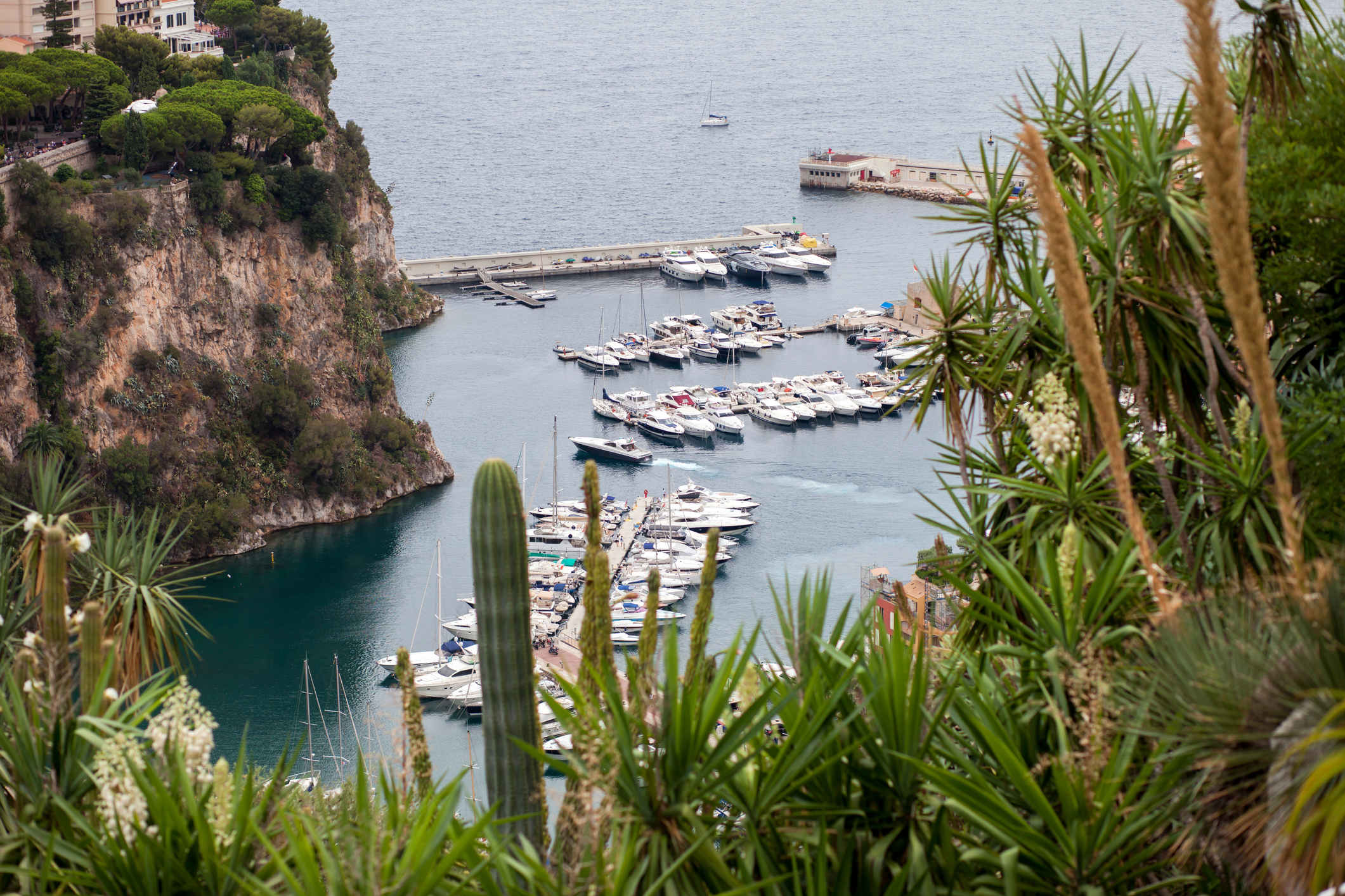 Exotic Gardens of Monaco