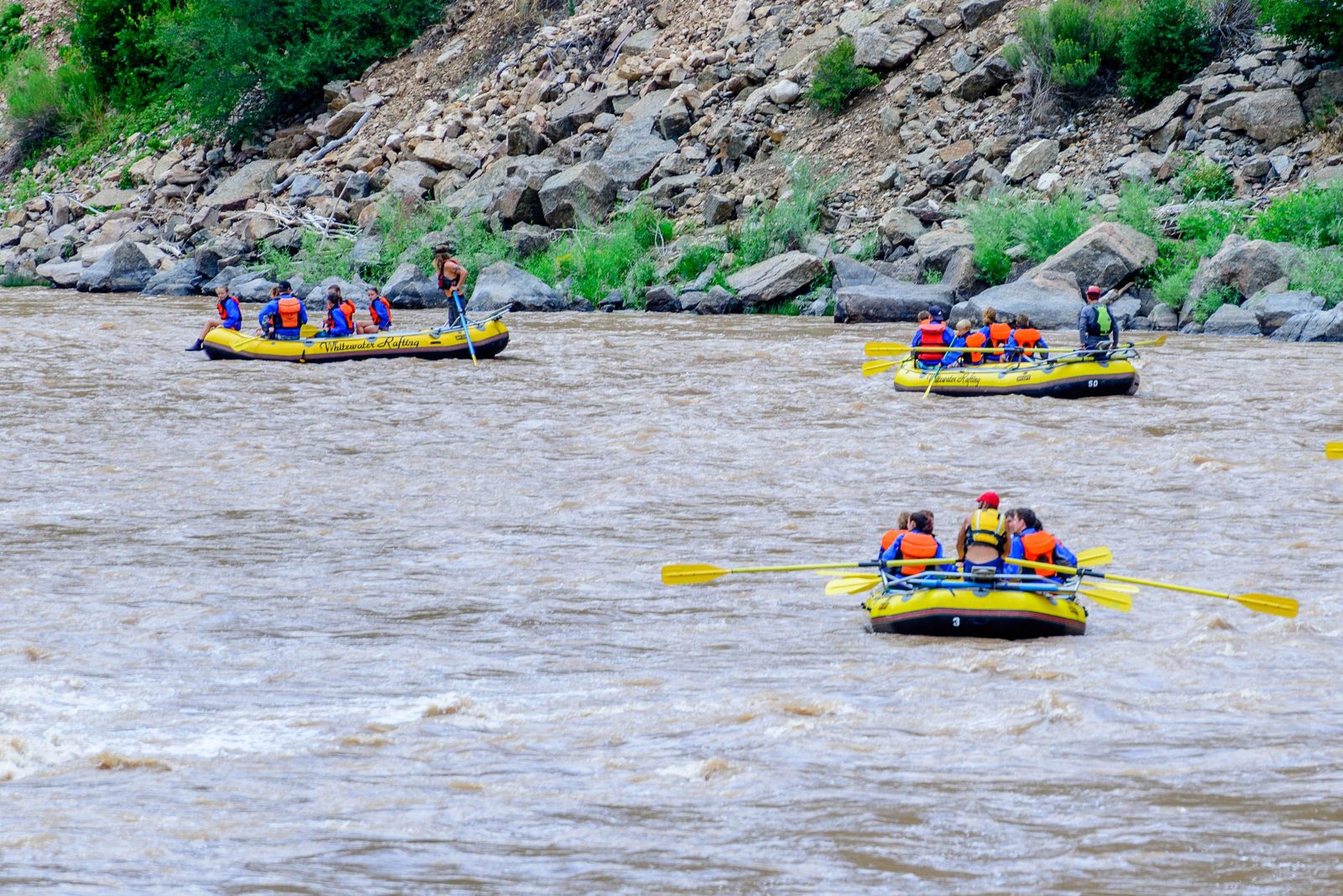 Rafters paddling down a stretch of whitewater river