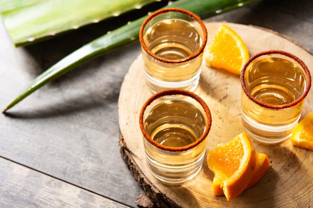Glasses of mezcal with chilli-salted rims, orange slices and a cut agave leaf