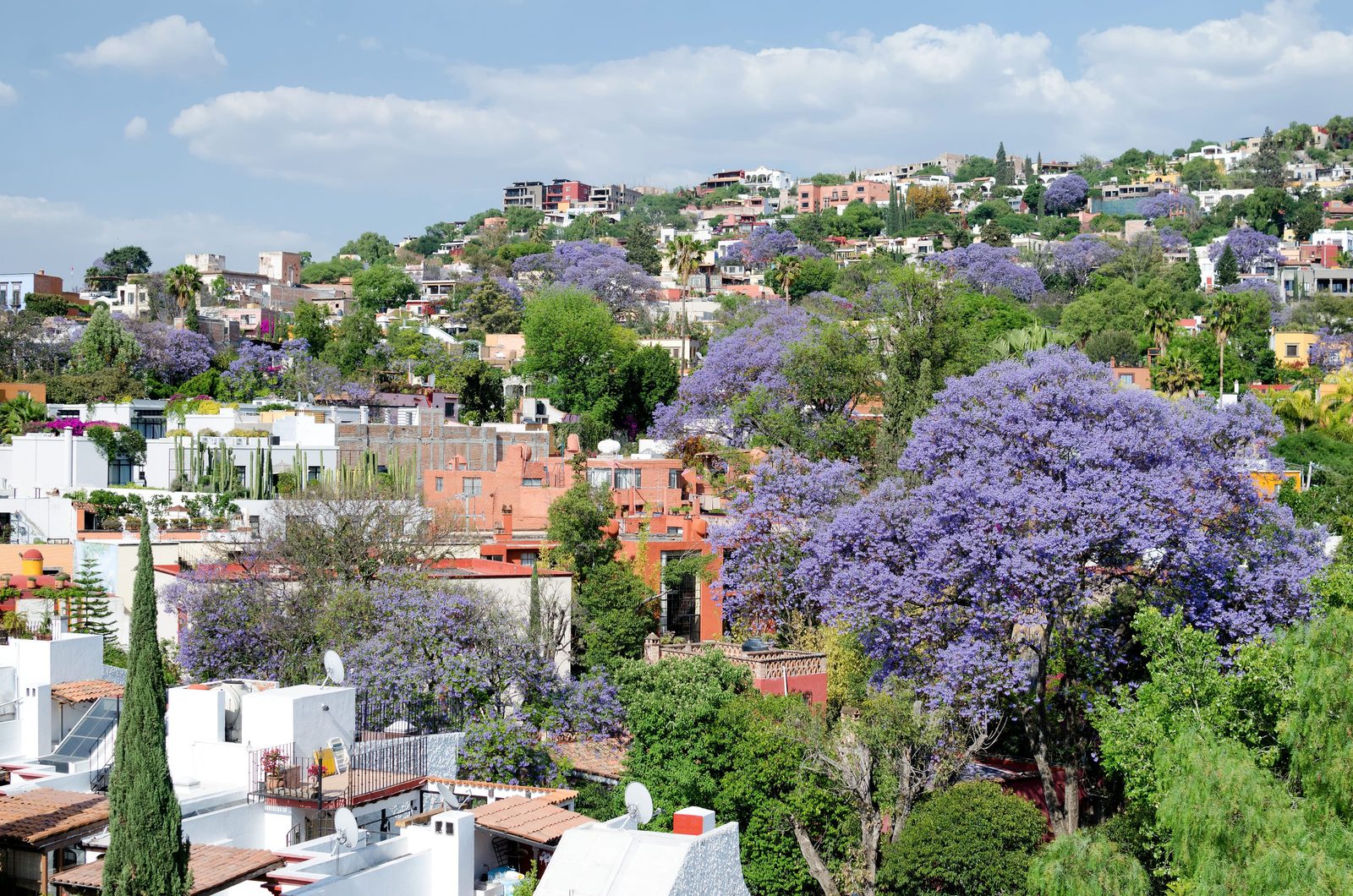San Miguel de Allende Travel Guide
