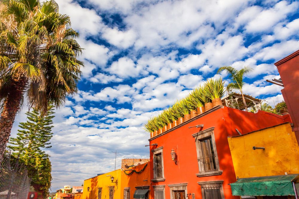 Red and ochre housefronts with rooftop planting on a street in central San Miguel de Allende